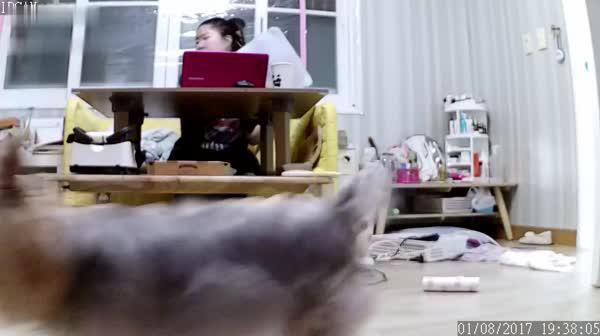 黑客破解家庭网络摄像头监控偷拍合租房洗完澡正在整理头发的全裸极品美女